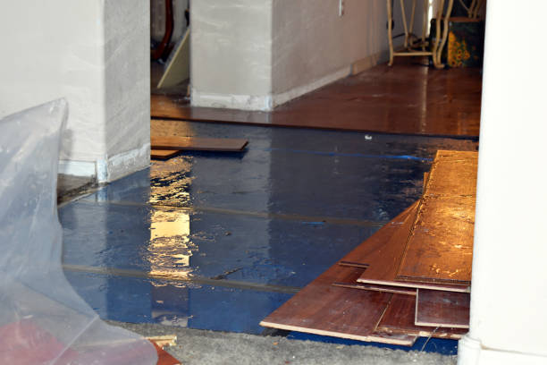 Professional Flood Cleanup technician working in Crystal, MI